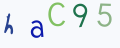 Resimli CAPTCHA