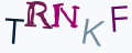 Resimli CAPTCHA