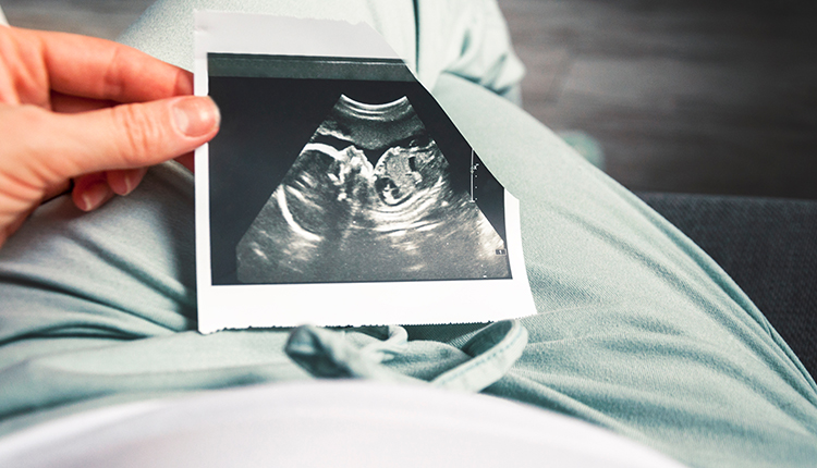 What Happens at 7 Weeks of Pregnancy? | Yeditepe Üniversitesi Hastanesi