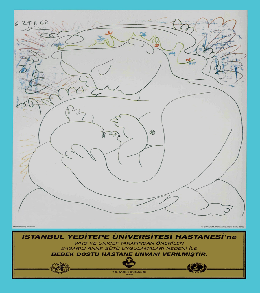 Bebek Dostu Hastane 