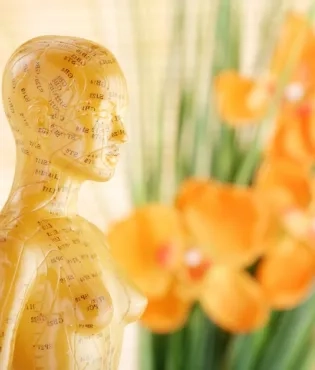 Yeditepe University Complementary Medical Center