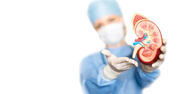 Böbrek Naklinde Başarı için Doku Uyumu da Önemli