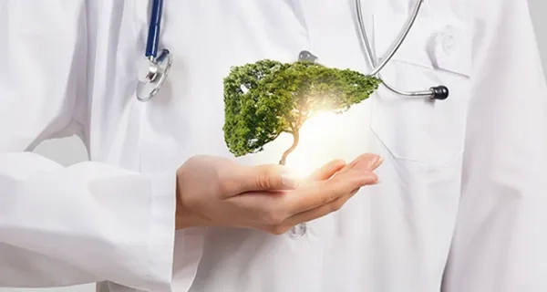 Karaciğer Kanseri (Tümörü) ve Tedavisi