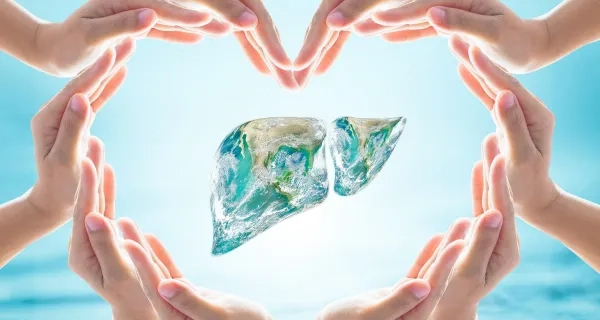 Karaciğer Kanseri ve Karaciğer Naklinin Yüzde 60 - 70’ i Kronik Hepatit Kaynaklı