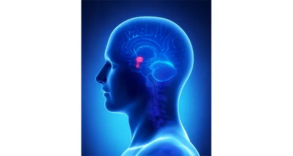 Geçmeyen Baş Ağrısı Tümör Habercisi Olabilir