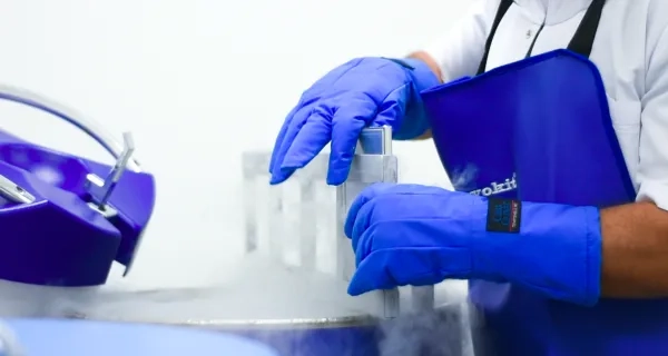 What is Bone Marrow Transplant?