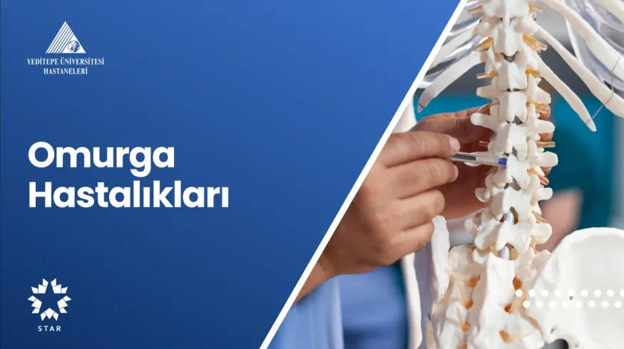 Omurga Hastalıkları | Prof. Dr. Ahmet Hilmi Kaya