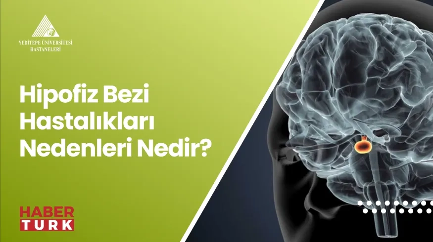 Hipofiz Bezi Hastalıkları Nedenleri Nedir? | Prof. Dr. Fahrettin Keleştemur
