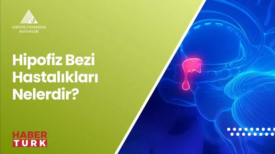 Hipofiz Bezi Hastalıkları Nelerdir? | Prof. Dr Fahrettin Keleştemur