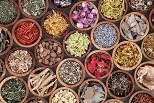 Phytotherapy and Immune System