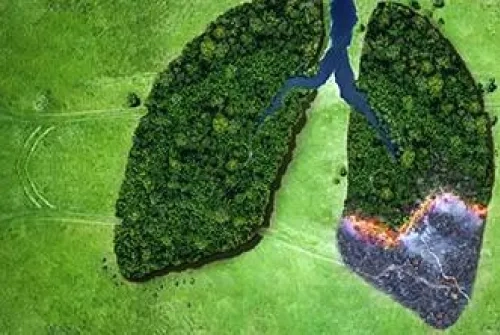 Is Breathing Air Dangerous in Fires?