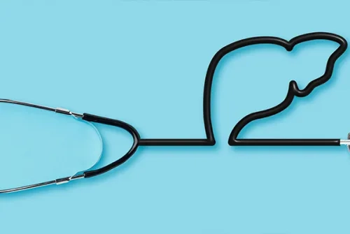 Karaciğer En Hızlı Nasıl Temizlenir?