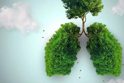 How to Cleanse Your Lungs?