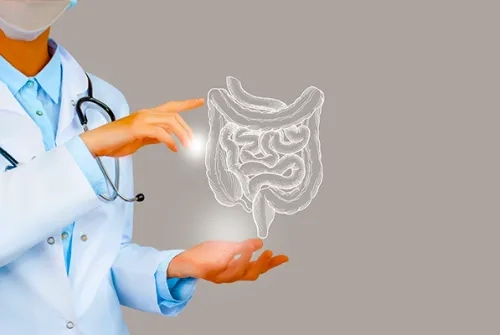 Sağlıklı Bir Bağırsak İçin Nasıl Beslenmeliyiz?