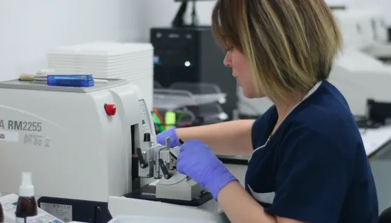 Doku Tipleme Laboratuvarı