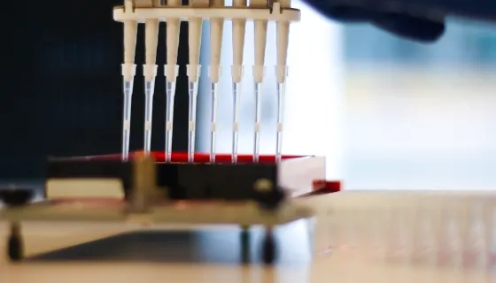 Yeditepe Üniversitesi Doku Tipleme Laboratuvarı