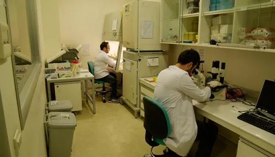Genetik Hastalıklar Değerlendirme Merkezi