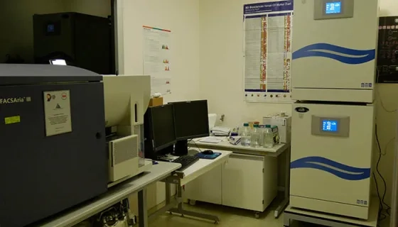 Genetik Hastalıklar Değerlendirme Merkezi