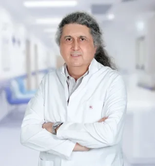 Prof. Dr. Mehmet Oktay Taşkapan