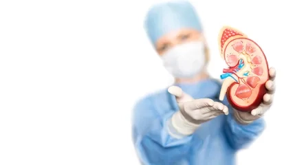 Böbrek Naklinde Başarı için Doku Uyumu da Önemli