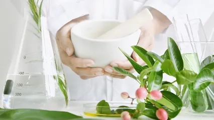 Anestezi Öncesi Bitkisel İlaçların Güvenli Kullanımı