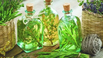 Phytotherapy May Reduce Side Effects of Cancer Treatment