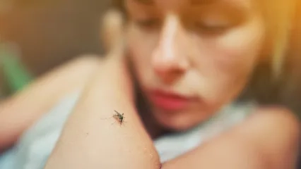 Batı Nil Virüsü Sıtmanın Yerini Aldı