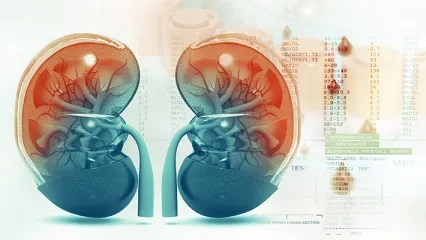 Böbrek Nakli Sonrası İlaç Kullanımına Dikkat!