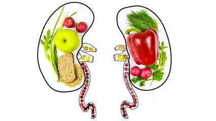 Yanlış Beslenme Böbrek Yetmezliğine Davetiye Çıkarıyor