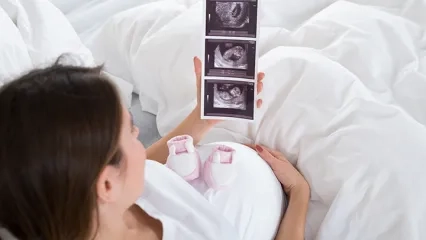 What Are the Birth Signs?