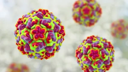 Rhinovirüsü Nedir?