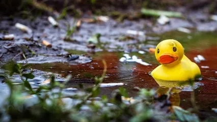 Smoking Rates Under the Age of 15 Are Increasing