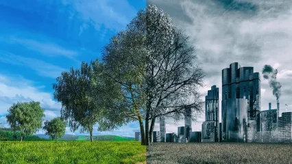 Air Pollution Threatens the Heart As Much As Smoking