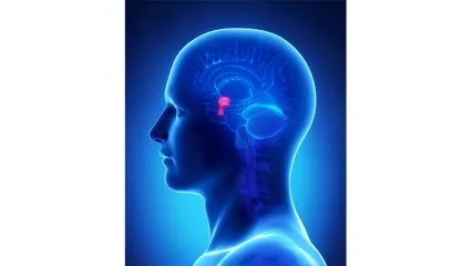 Geçmeyen Baş Ağrısı Tümör Habercisi Olabilir