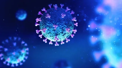 It Is Necessary to Try to Be Healthy in order to Be Protected