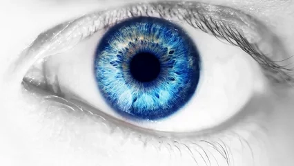 Do not Risk Going Blind While Trying to Have Colored Eyes