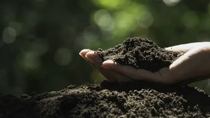 Soil Eating in Patients with Pica Syndrome