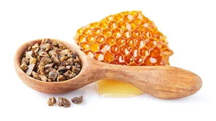 What is Propolis? How to Use Propolis?