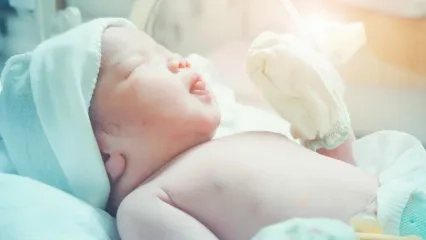 The Expected Moment Has Arrived; Birth Begins