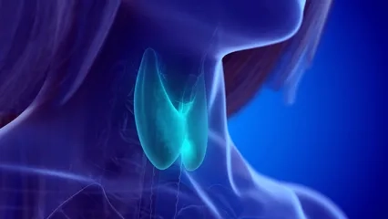 Hashimoto Tiroidi Hastalığı