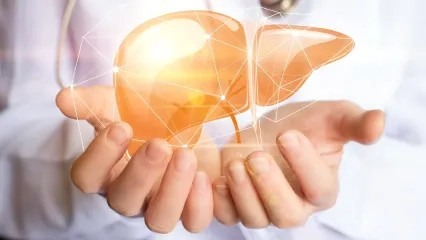 Liver Transplant Vocabulary 