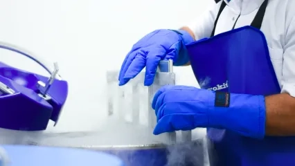 What is Bone Marrow Transplant?