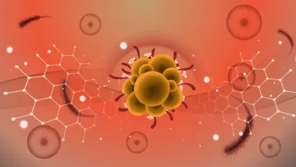 Maymun Çiçeği Virüsü Nedir? Maymun Çiçeği Virüsü Belirtileri Nelerdir?