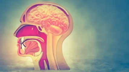 Hipofiz Hastalıklarının Cerrahisi