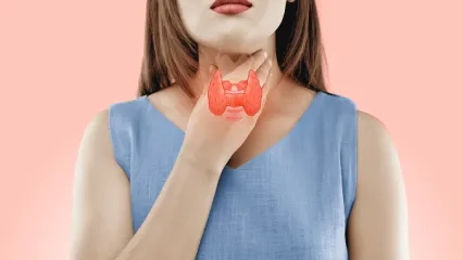 What Are The Parathyroid Glands?