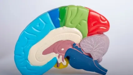 Pituitary Clinic | FAQs