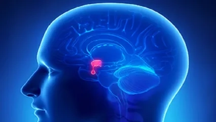 Hipofiz Hastalıkları