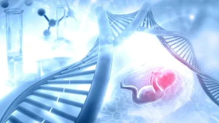 Ovarian Rejuvenation / PRP