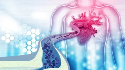 Misconceptions about Cholesterol!
