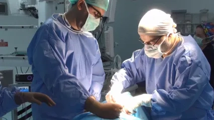 Tiroid Kök Hücresinden Paratiroid Hücresi Elde Edildi 